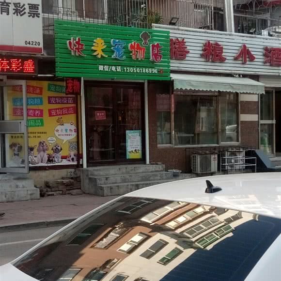 快来宠物店:抚顺市顺城区北站附近