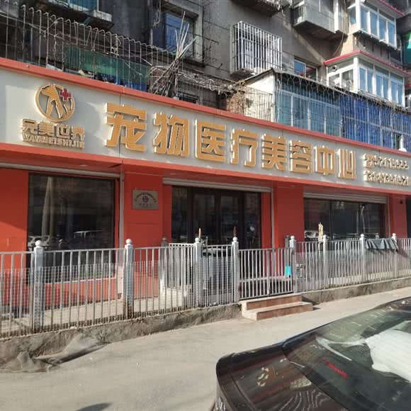 完美世界宠物医疗美容中心:抚顺市顺城区将军附近