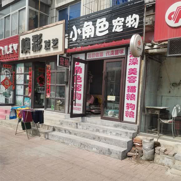 小角色宠物:抚顺市顺城区雷锋体育场附近