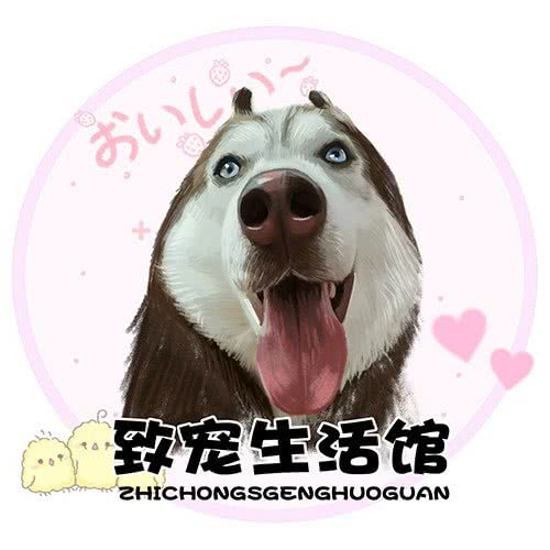 致宠生活馆:抚顺市顺城区河东附近