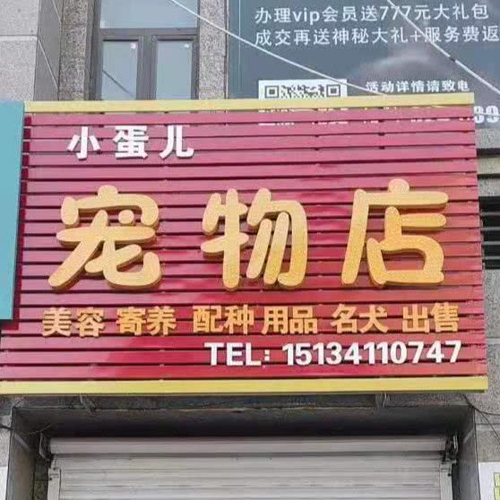 大蛋儿宠物店:抚顺市顺城区城东新区附近