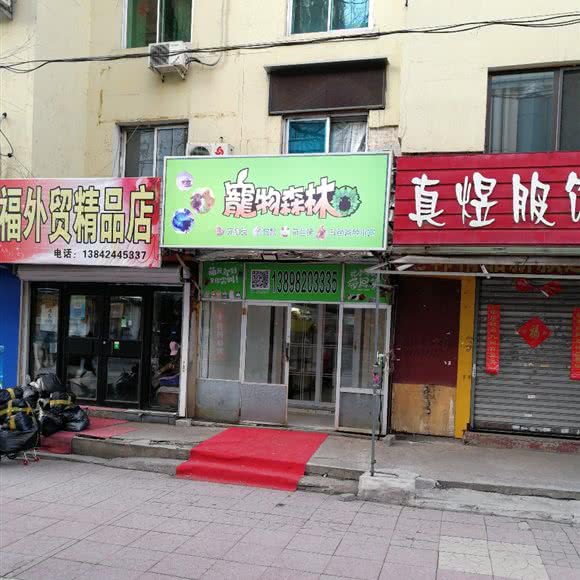 宠物森林:本溪市平山区东明步行街附近