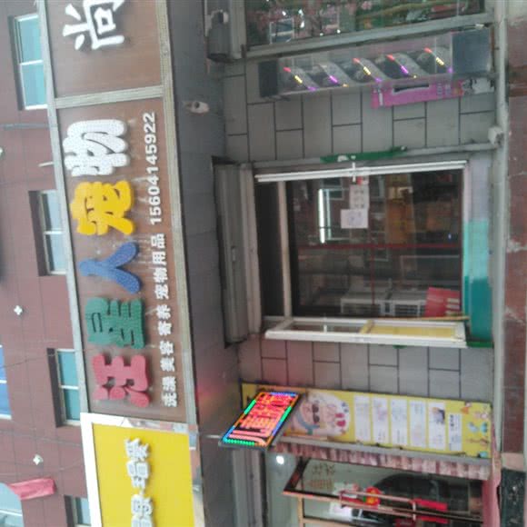 汪星人狗狗:本溪市溪湖区溪湖附近