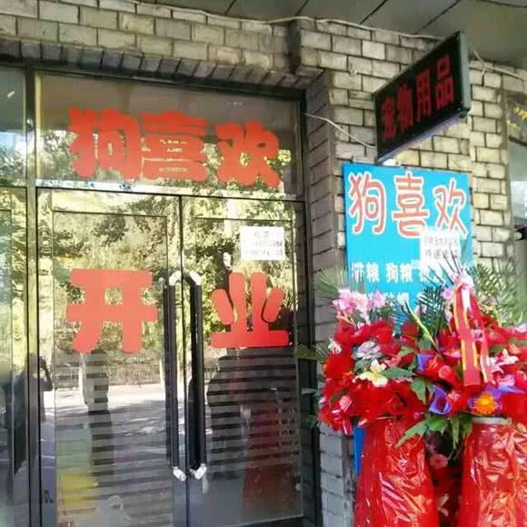 狗喜欢宠物:本溪市溪湖区溪湖附近