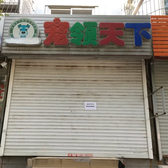 宠领天下:锦州市古塔区西安街蔬菜市场附近
