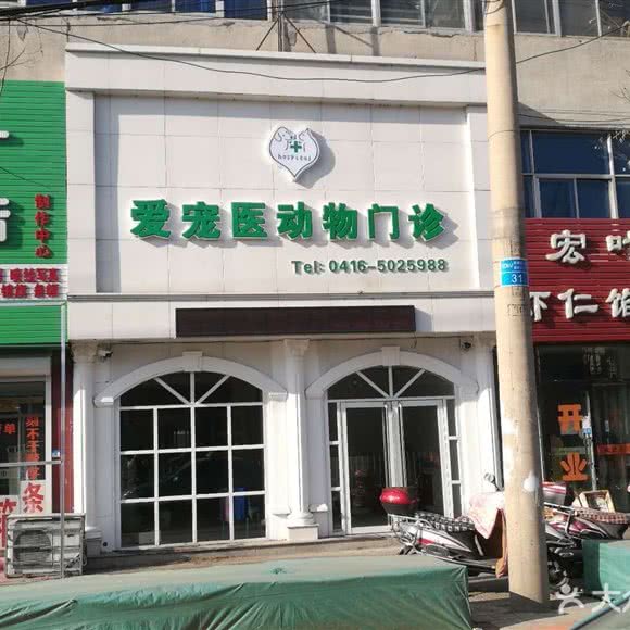爱宠医动物门诊:锦州市古塔区西安街蔬菜市场附近