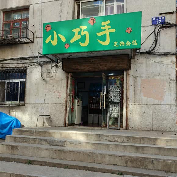 小巧手宠物会馆:锦州市凌河区白楼附近
