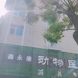 锦州鑫永康动物医院:锦州市凌河区啤酒厂附近