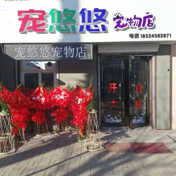 宠悠悠面包店:锦州市凌河区后五里附近