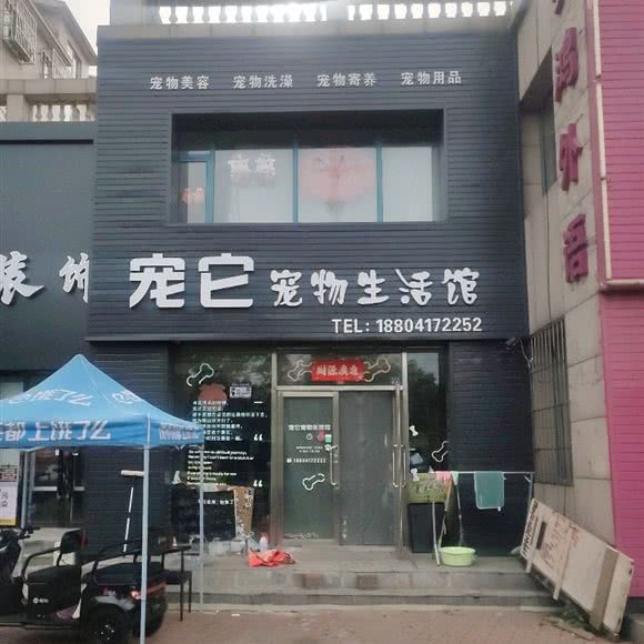 宠它宠物生活馆:营口市站前区客运分站附近
