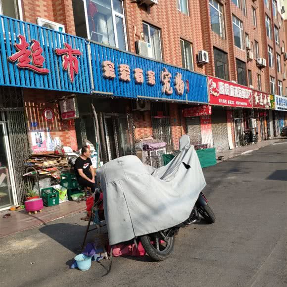 宠爱有家宠物门诊:营口市站前区客运分站附近