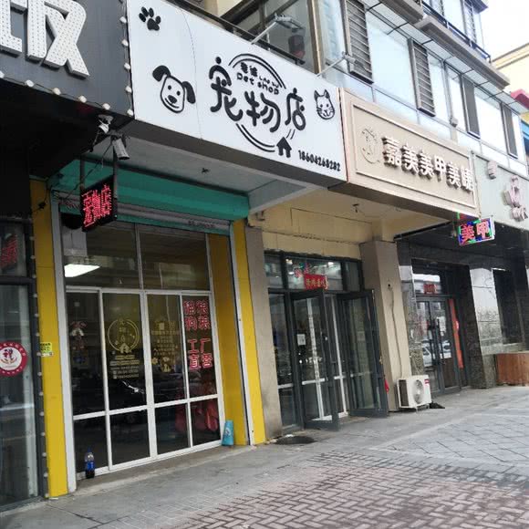 老徐宠物店:营口市站前区南湖公园附近