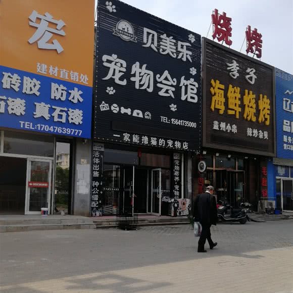 贝美乐宠物会馆:营口市鲅鱼圈区鲅鱼圈一高附近