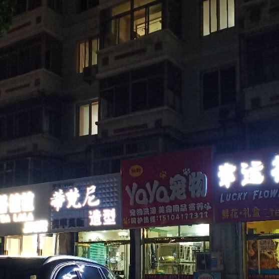 YOYO宠物:营口市鲅鱼圈区鲅鱼圈一高附近