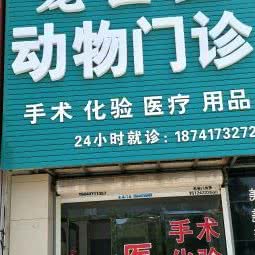 宠医生动物门诊:营口市鲅鱼圈区鲅鱼圈一高附近
