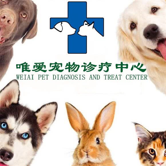 唯爱宠物诊疗中心:营口市鲅鱼圈区鲅鱼圈一高附近