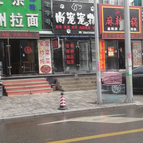 尚宠宠物(海天街店):营口市鲅鱼圈区商业大厦附近