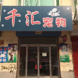 千汇宠物:营口市鲅鱼圈区熊岳镇附近