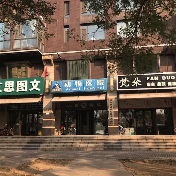 紫岩峰尚动物医院:北京城区丰台区青塔附近