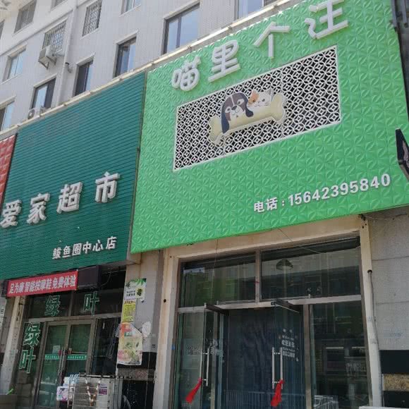 喵里个汪:营口市鲅鱼圈区红旺广场附近