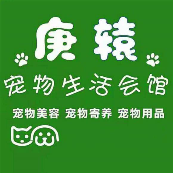 庚辕宠物生活会馆:营口市鲅鱼圈区红旺广场附近