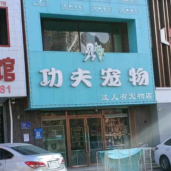 功夫宠物:营口市鲅鱼圈区红旺广场附近