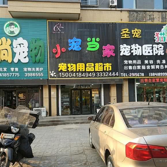 小宠当家:阜新市海州区新华路附近