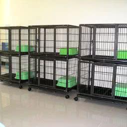 犬帝狗狗寄养中心:北京城区丰台区六里桥/丽泽桥附近