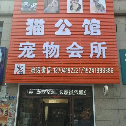 猫公馆宠物会所·宠物诊所:辽阳市白塔区白塔公园附近