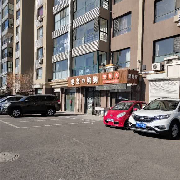 老友狗狗宠物店:盘锦市双台子区晟华苑附近
