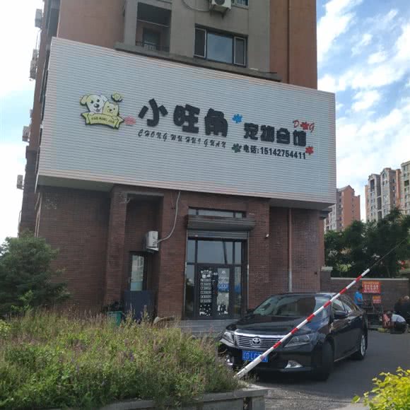 小旺角宠物会馆:盘锦市兴隆台区锦祥附近