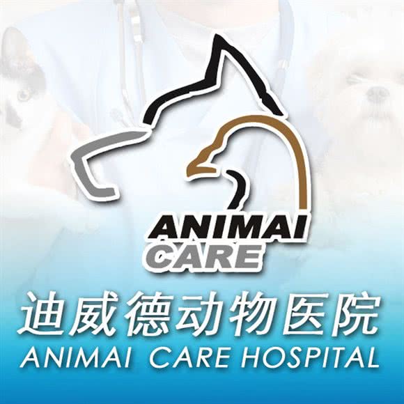 迪威德国际动物医院:北京城区丰台区六里桥/丽泽桥附近
