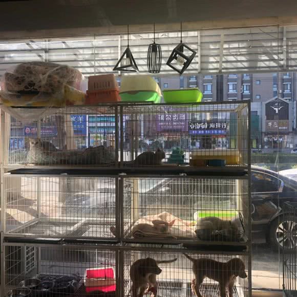 道格精洗宠物店(银州店):铁岭市银州区城南附近
