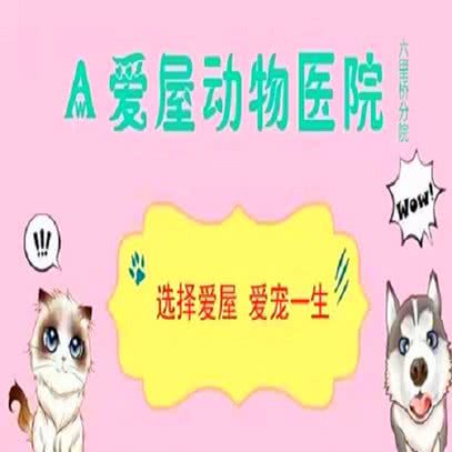 爱屋动物医院:北京城区丰台区六里桥/丽泽桥附近
