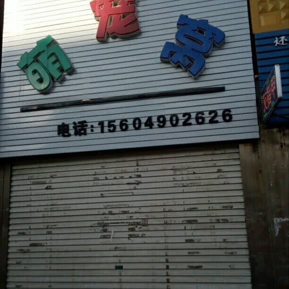 萌宠窝:铁岭市银州区小桥子附近