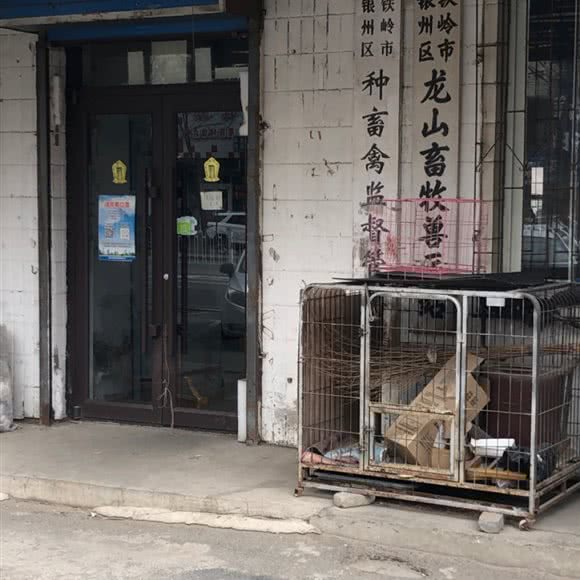 铁岭市银州区龙山畜牧兽医站:铁岭市银州区小桥子附近