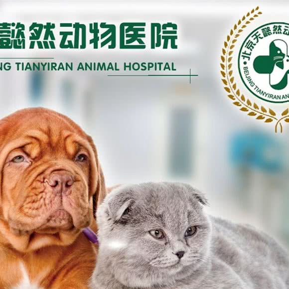 北京天懿然动物医院:北京城区丰台区六里桥/丽泽桥附近