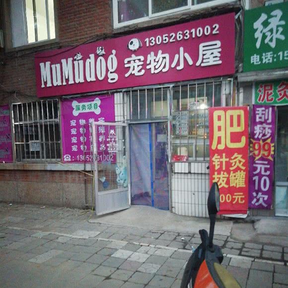 宠物小屋:朝阳市双塔区龙城区政府附近