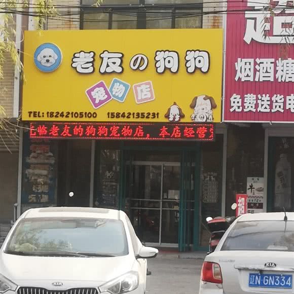 老友の狗狗宠物店:朝阳市双塔区龙城区政府附近