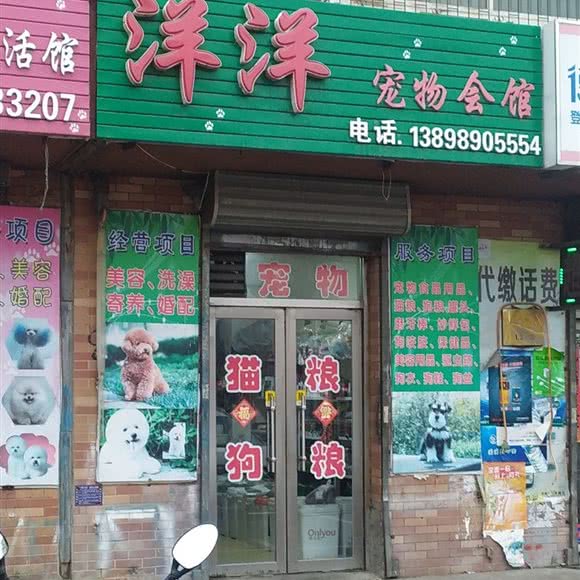 洋洋宠物会馆:葫芦岛市连山区八区附近
