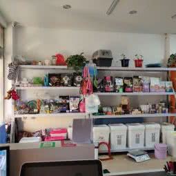 伊珍熙宠物店:葫芦岛市连山区滨河附近