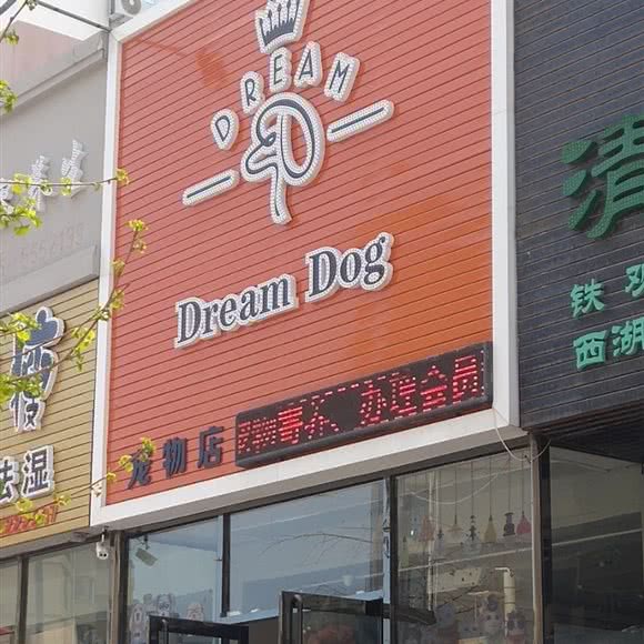 Dream Dog宠物店:葫芦岛市龙港区大润发附近