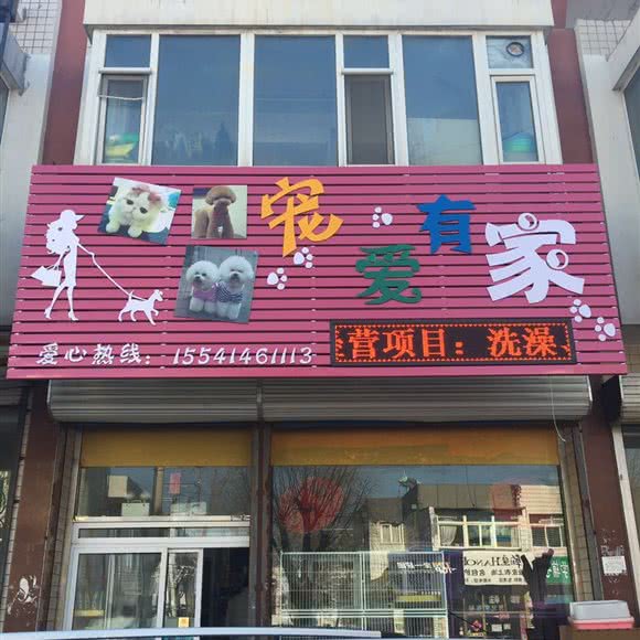 宠爱有家:葫芦岛市龙港区市政府附近