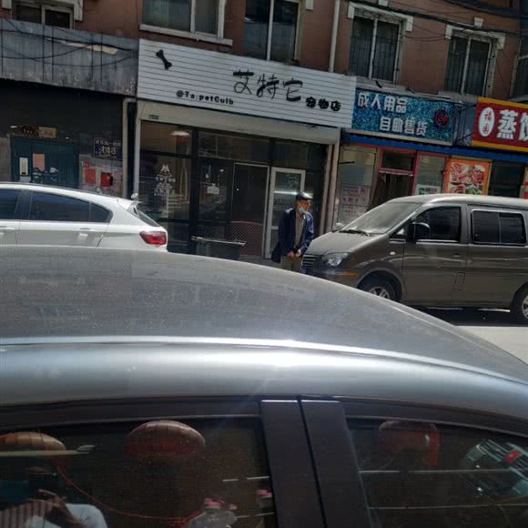 艾特它宠物店:长春市南关区新春附近