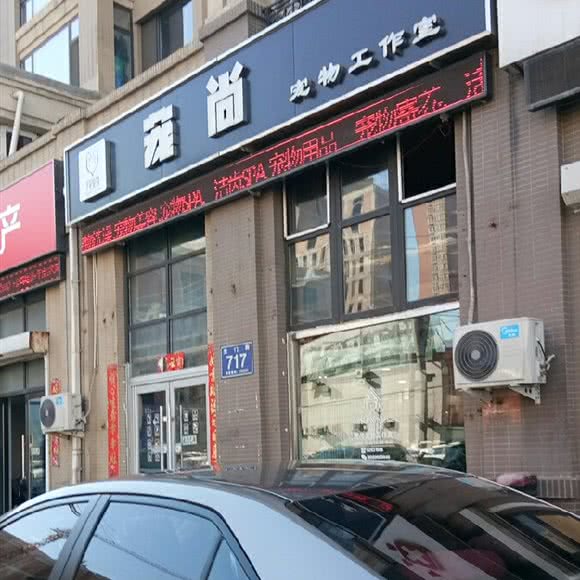 宠尚宠物工作室:长春市南关区新春附近
