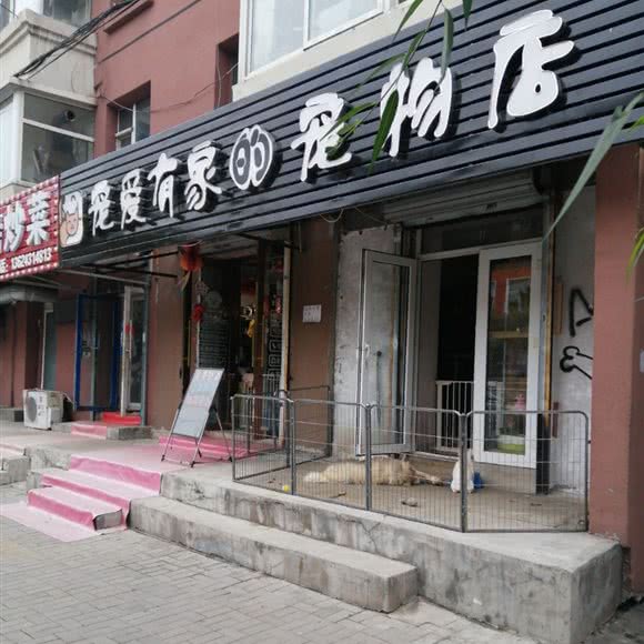 宠爱有家的宠物店:长春市南关区南岭附近