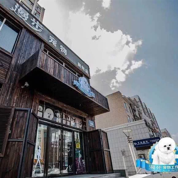 漫步宠物旗舰店:长春市南关区世荣路/南三环附近