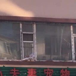 小夫妻宠物店:长春市南关区世荣路/南三环附近