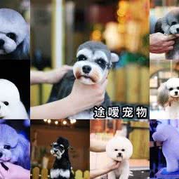 途嗳狗狗:长春市南关区世荣路／南三环附近