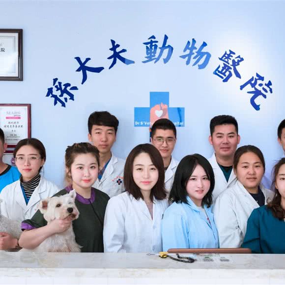 孙大夫动物医院(卫星路店):长春市南关区世荣路／南三环附近